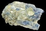 Vibrant Blue Kyanite Crystals In Quartz - Brazil #118850-1